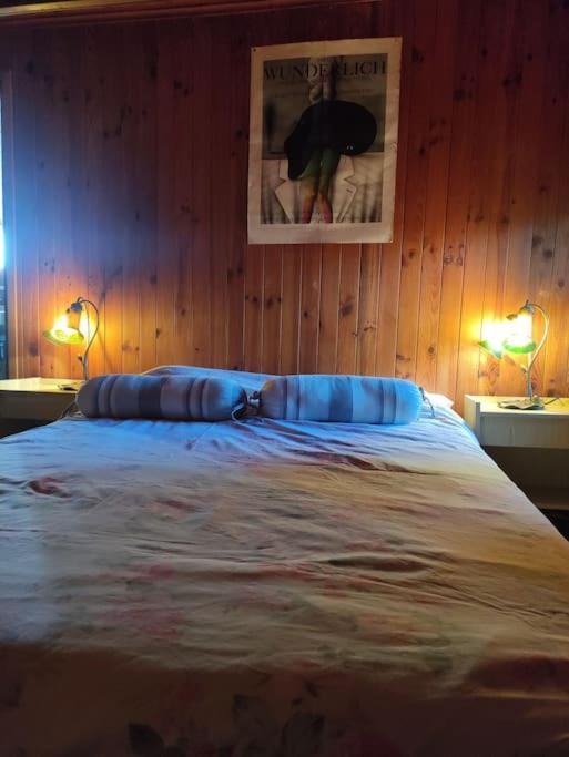 Saint-Martin-Vésubie Chalet Accueillant Et Familial מראה חיצוני תמונה